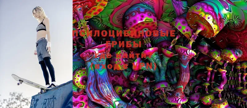 ссылка на мегу tor  Орёл  Псилоцибиновые грибы Cubensis  наркота 